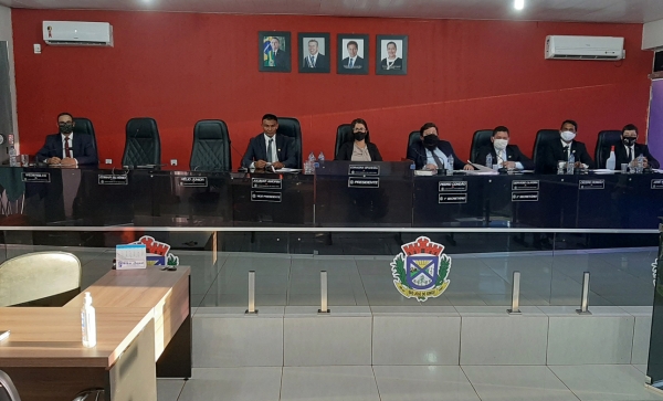Décima Primeira Sessão Ordinária do Ano de 2020